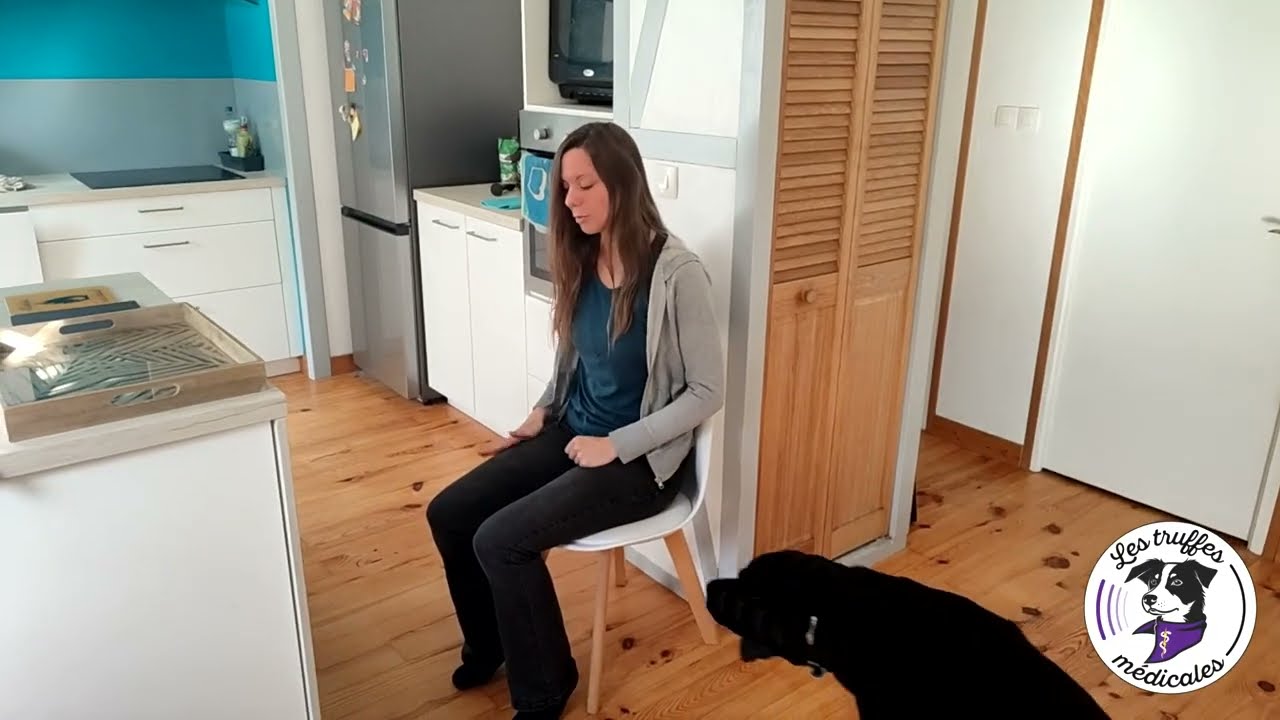 Que sait faire un chien d'alerte et d'assistance épilepsie ?