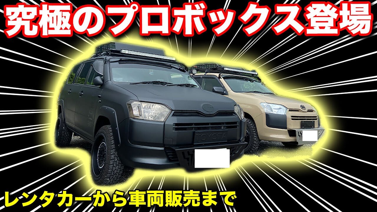 【閲覧注意】プロボックスそこまでやりますか！！プロがカスタムするとこうなりました。パーツ点数20点以上【ナギサオート】