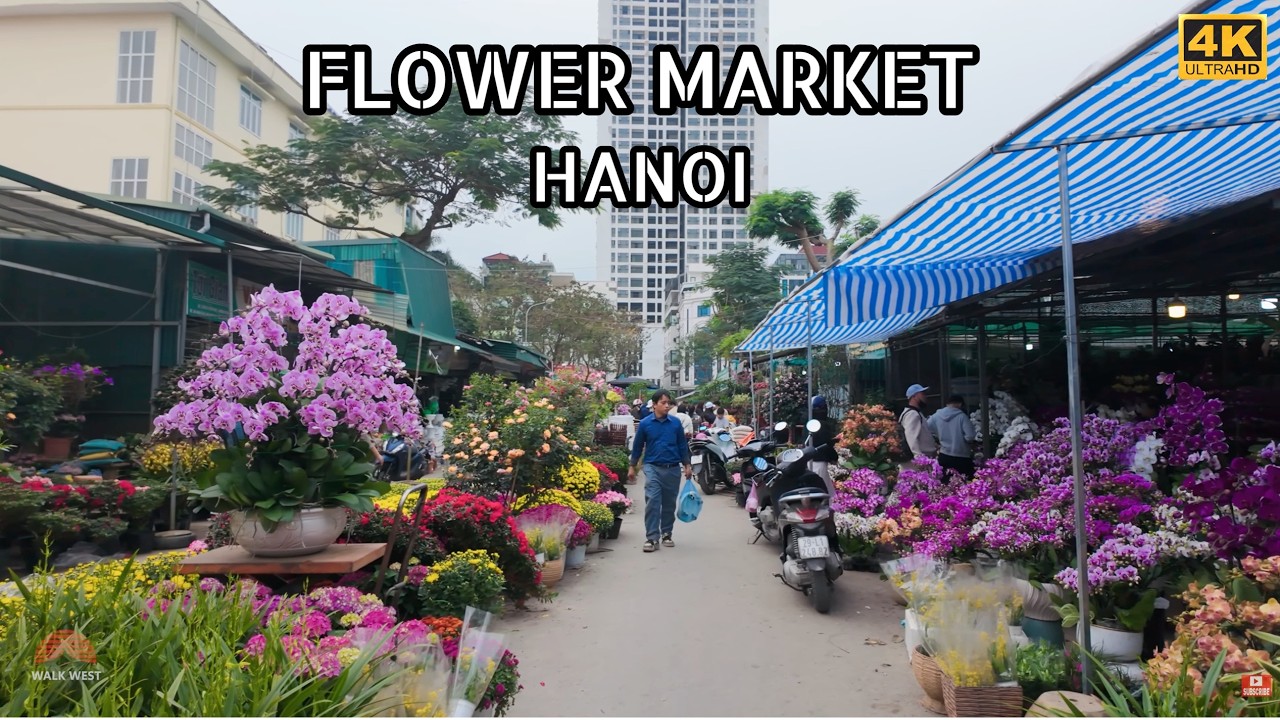 Van Phuc Flower Market 2026 🌸 | Hanoi Daytime Flower Market Walking Tour