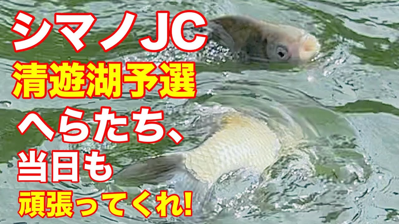 【清遊湖】シマノジャパンカップへら　予選突破のためのプラの様子をお伝え　選手も頑張る　頼む、へらも何とか頑張ってくれ