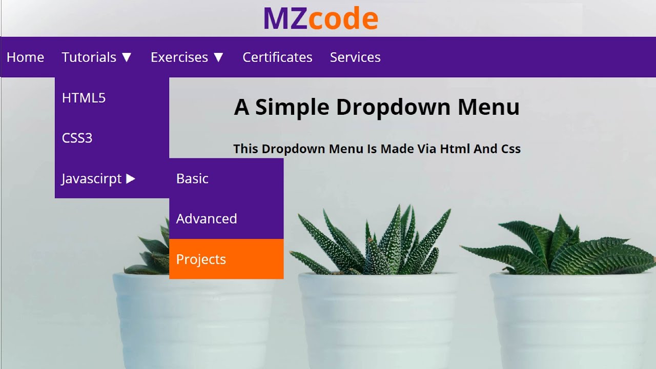 How To Make Drop Down Menu Using HTML CSS | Project 2024 in Hindi #css #html #coding #webdevelopment