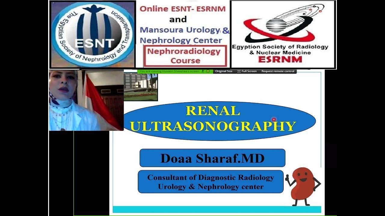 Renal Ultrasongraphy, ESNT ESRNM Online course, dr  Doaa Sharaf MD