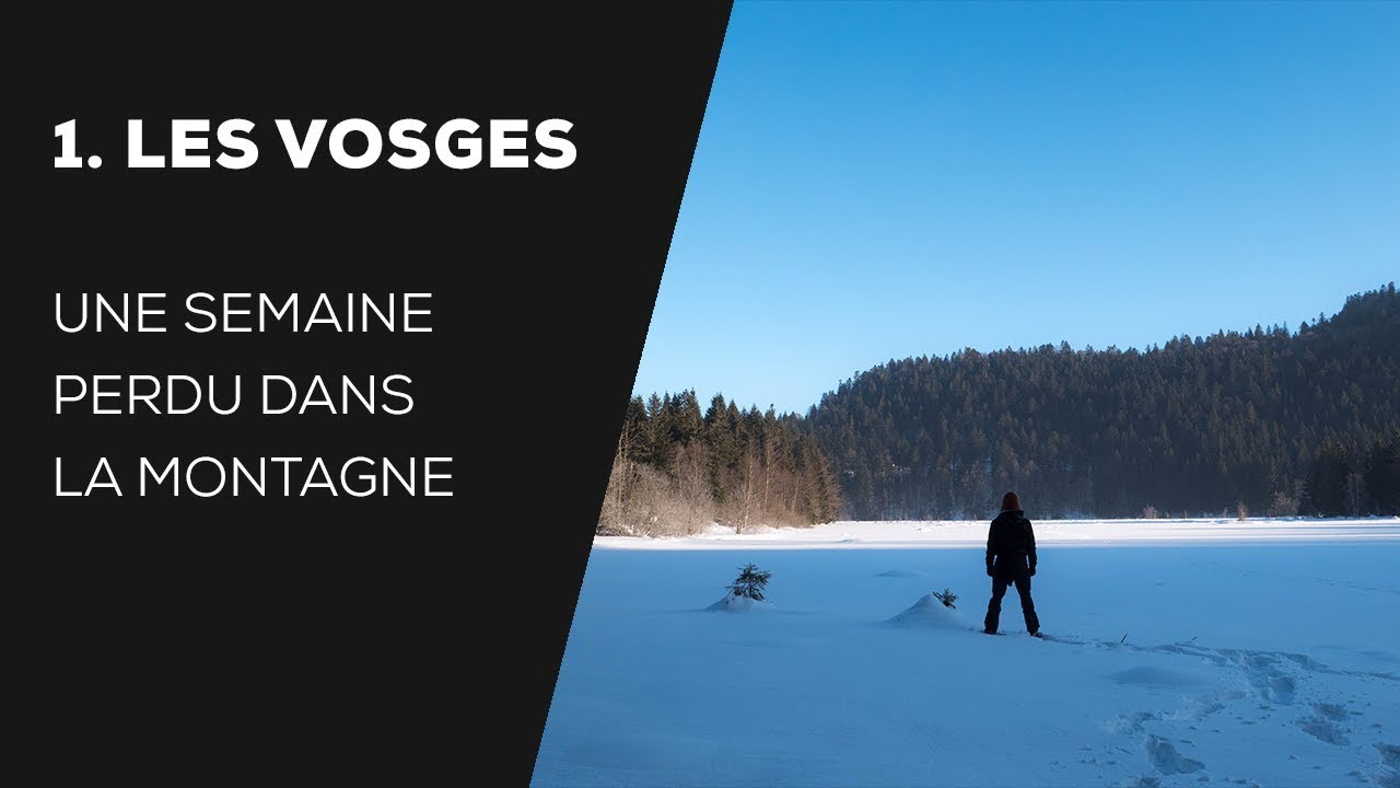 #1 UNE SEMAINE DE VIE SAUVAGE (VOSGES)