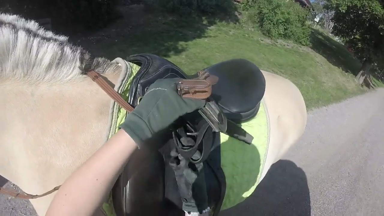 Taffsnäs låten 26/7-23