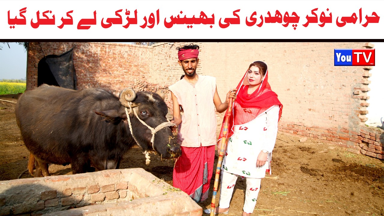 Noor Nazeer Bhains Or Larki Ly Kr Nikal New Funny Video | Most Comedy Funny Video | You Tv Hd 2026