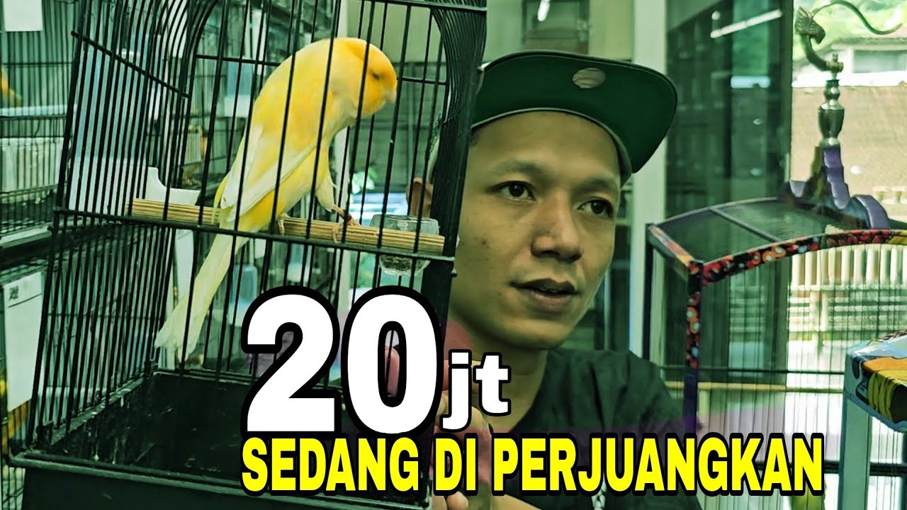 SELALU BIKIN SENSASI‼️ BARANG YANG BARU MASUK PASTI BUAT GEGER NETIZEN..
