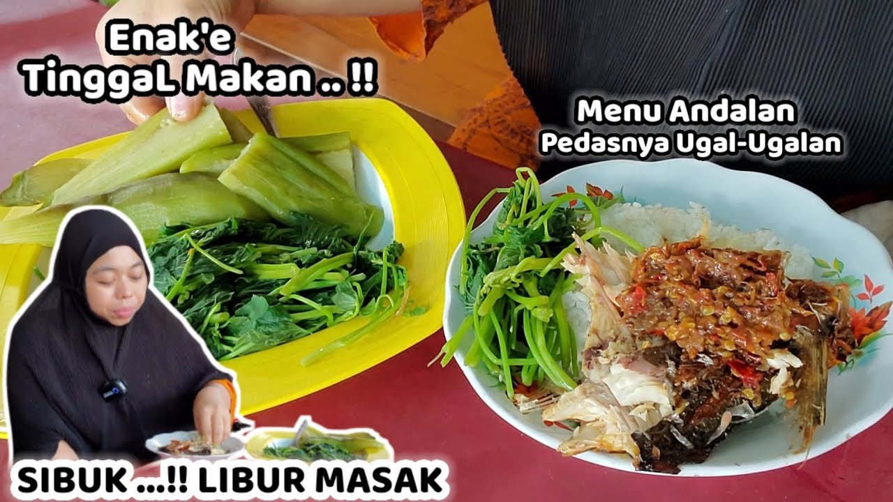 LIBUR MASAK ‼️ Enak'e TinggaL Makan  - PEDAS'NYA UGAL-UGALAN
