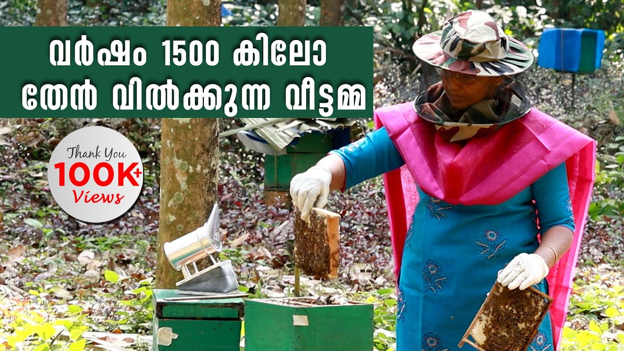 ഇത്രയ്ക്കും എളുപ്പമായിരുന്നോ തേനീച്ച കൃഷി | Success Story of Honey Bee Farming | Beekeeping Tips
