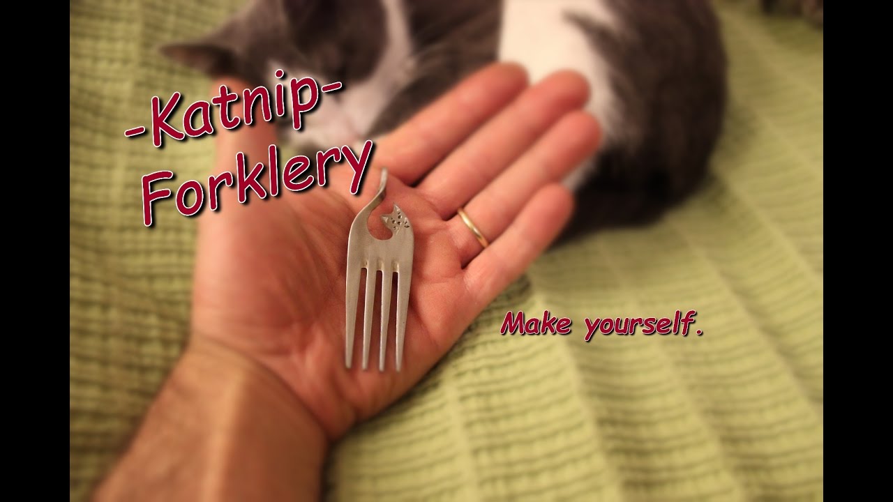 Dremel project: -Katnip- Forklery