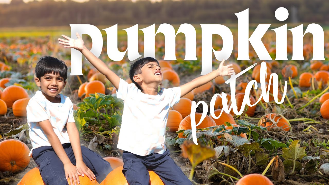 Twins EPIC Adventure at the PUMPKIN PATCH! (Fun Day Out in Fall)