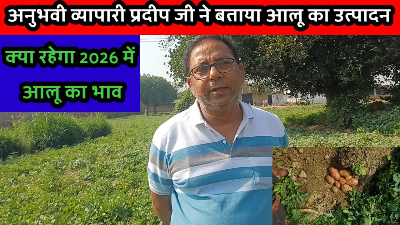 अनुभवी व्यापारी प्रदीप जी से आलू के उत्पादन और भविष्य पर भी विशेष चर्चा 