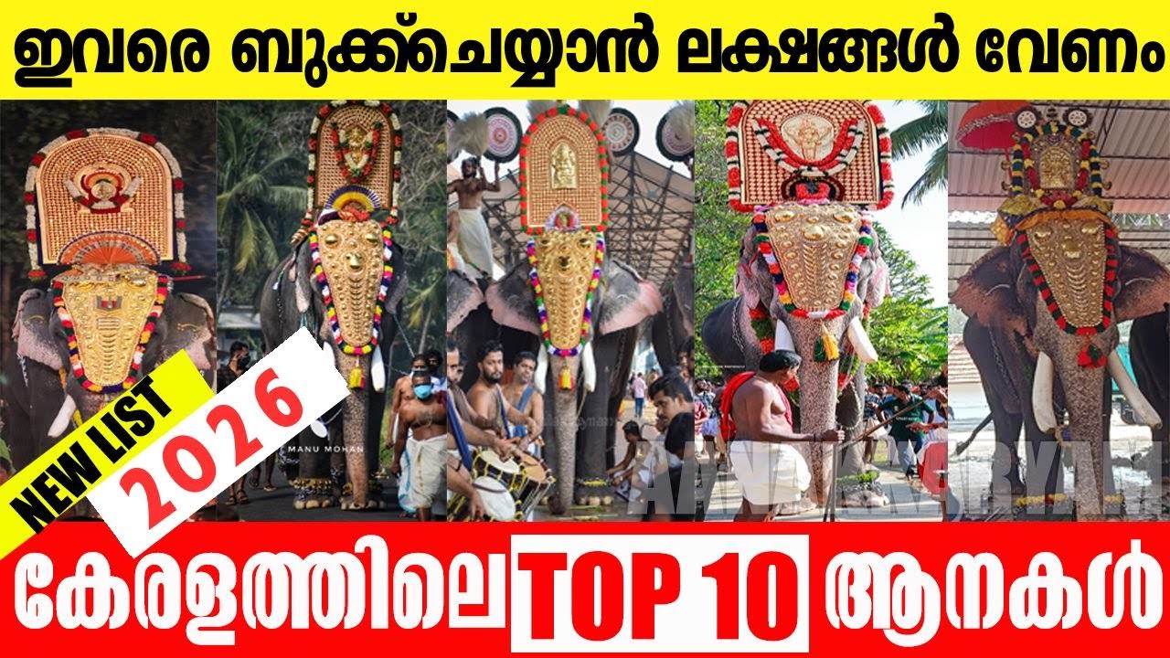 2026-ലെ ലക്ഷങ്ങൾ ഏക്കം വാങ്ങുന്ന 10 ആനകൾ ! 😱 🐘🔥 ആരാണ് ഒന്നാമൻ  ?  Kings of KeralaTop 10 Elephants