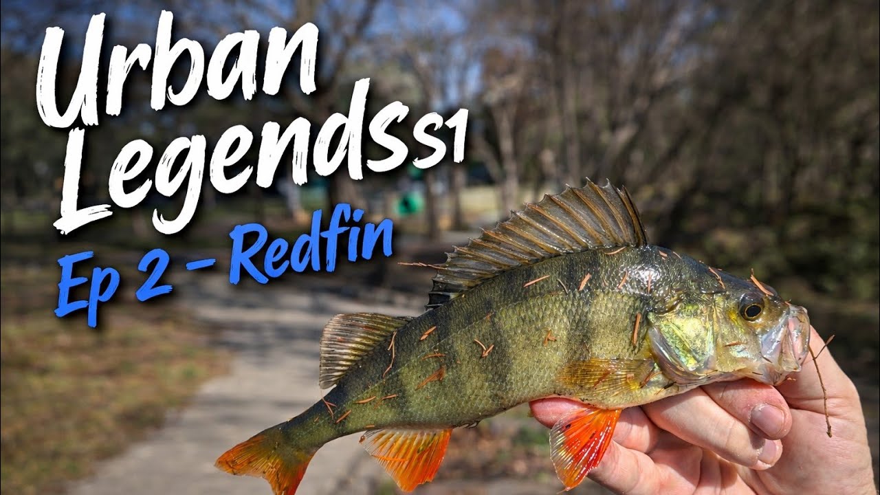 Urban Legends - Ep 2 - Redfin Rangling