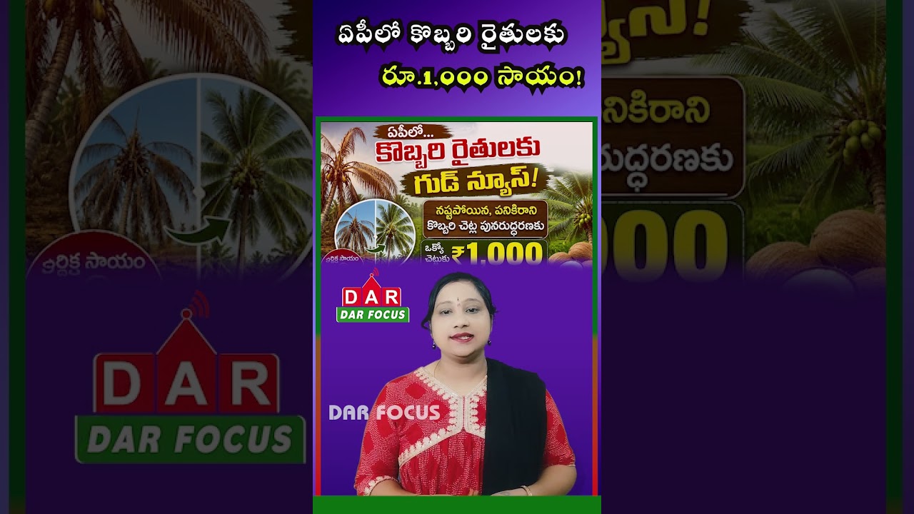 Big Relief for AP Farmers: ₹1,000 Assistance for Coconut Tree Restoration | DAR FOCUS #darfocus