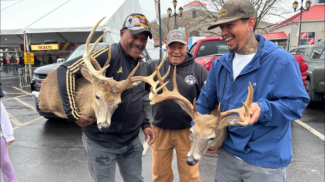 Оценка результатов соревнований Dixie Deer Classic 2026 по подсчету очков среди оленей