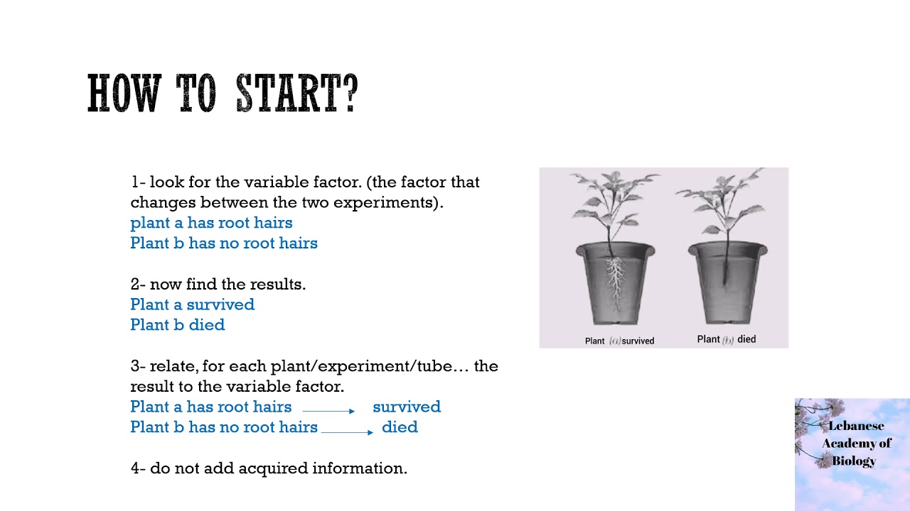 Analyze the results of an experiment - All grades