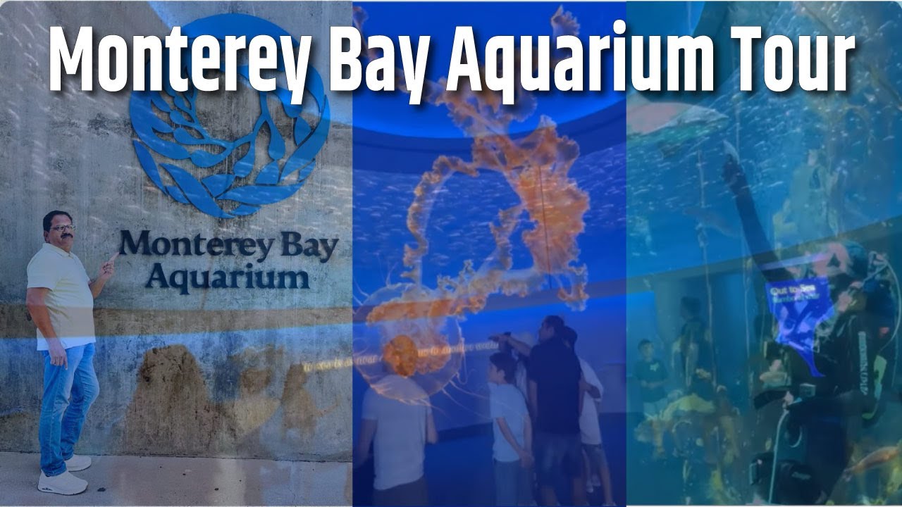 America Ka Sabse Mashhoor Aquarium | Monterey Bay Aquarium Tour | Indian Breakfast in USA