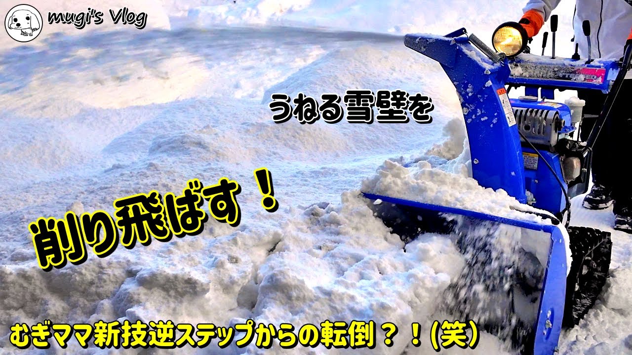 【青い除雪機を使った雪かき！】ガタガタ地面でむぎママもコケる大雪、除雪機で削って飛ばして格闘する？😅