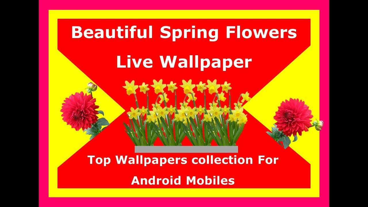 Beautiful spring Flowers Live Wallpaper 2018|Best Live Wallpapers