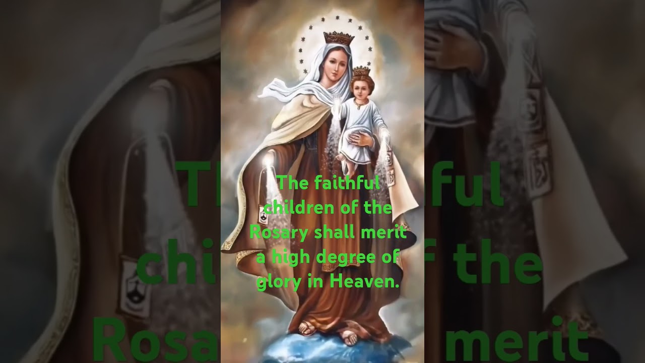 MOTHER UNDEFILED, PRAY FOR US 🙏 #ourladyhelpofchristians #holysouls #rosarymarathon #catholicstl