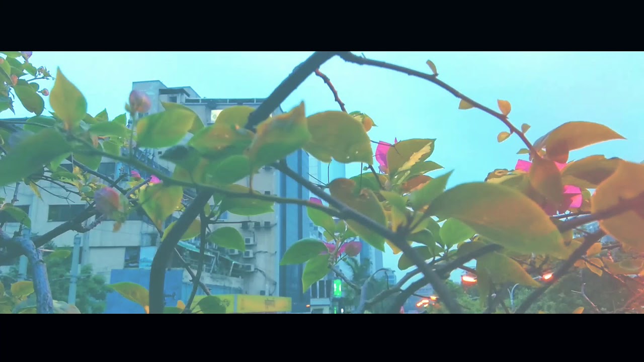 DHAKA&zwnj;&zwnj;//NEUTRAL BEAUTY //DAB NATION//RENDOM-1//