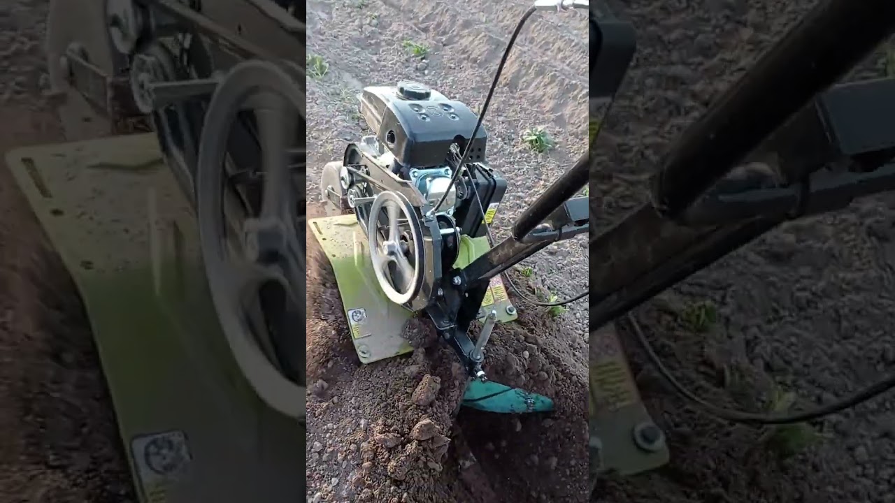 Підгортання картоплі мінікультиватором Кентавр МК 20-1-3,