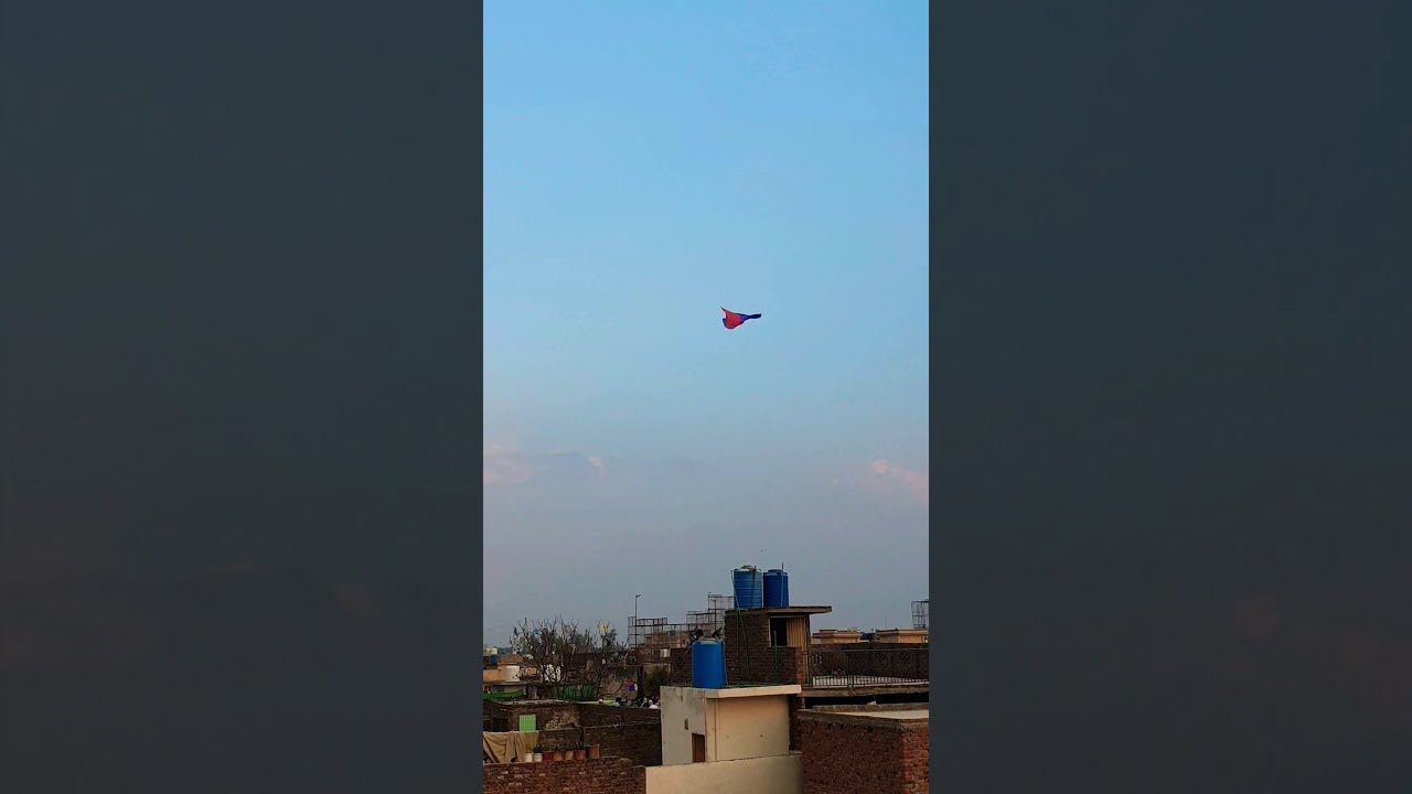 Basant 2021 | Gudda crash 😁 #shorts