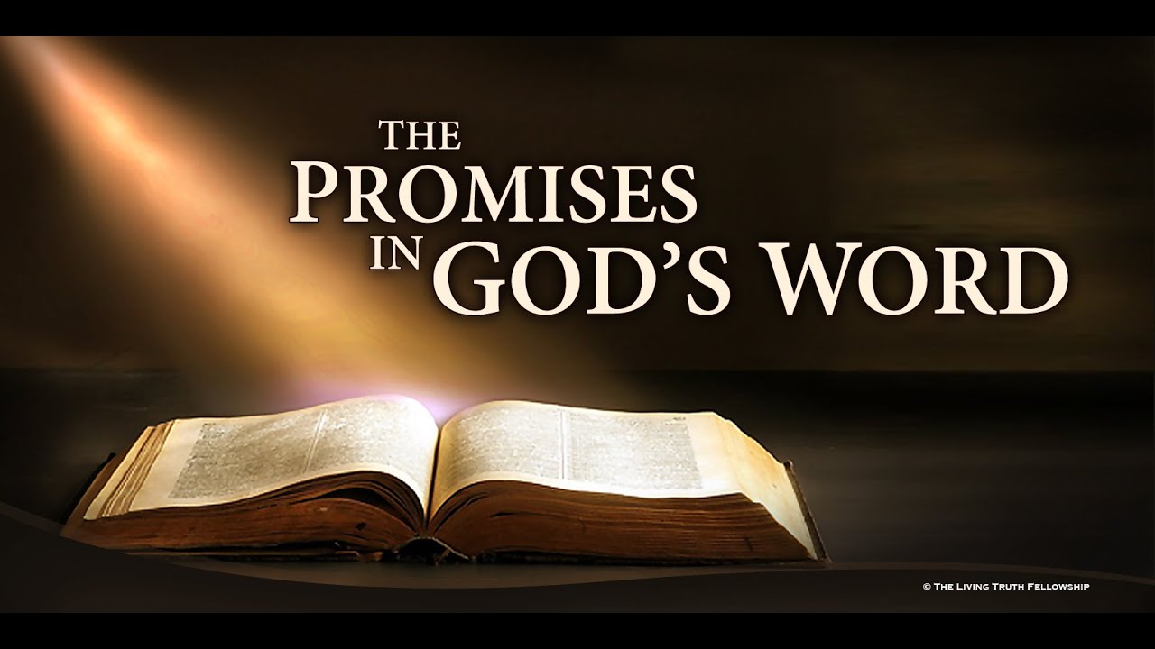 THE PROMISES IN GOD’S WORD (Segment 5)
