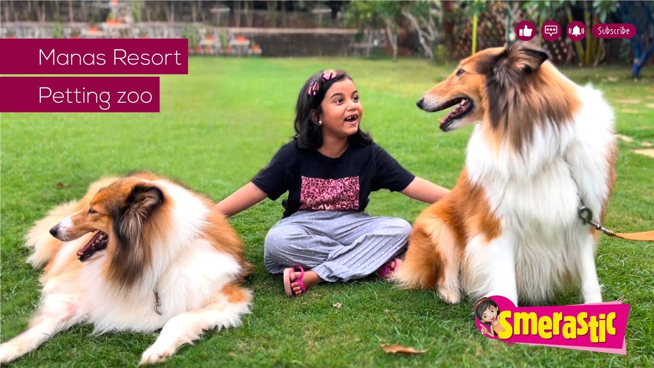 Visit to Manas Resort Petting Zoo, Igatpuri | Unique Petting Zoo | Manas Resort