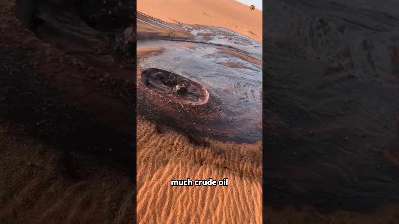 Why Finding Oil is BAD News in Saudi Arabia! 🤯 #shortsvideo