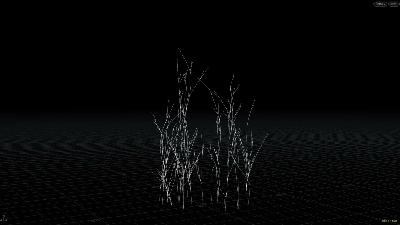 Procedural Branch Growth FX in Houdini VEX