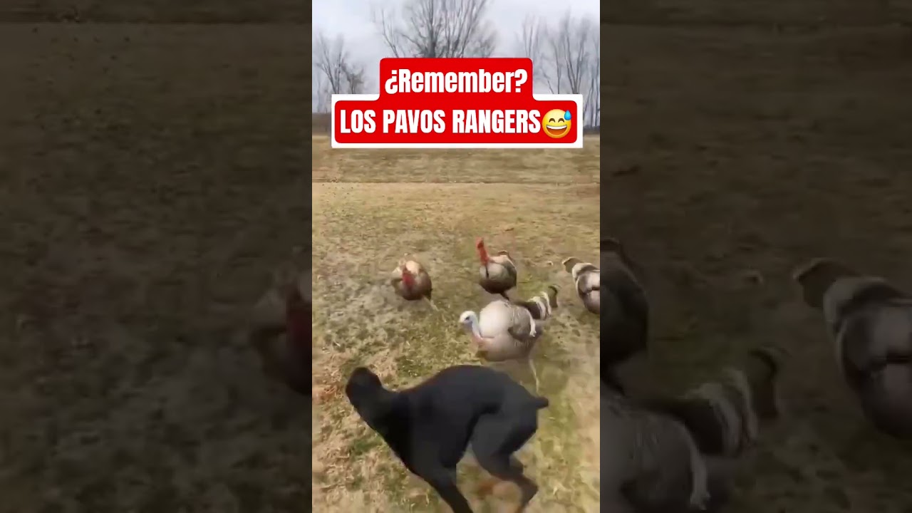 PavozRangers😅😅😅 