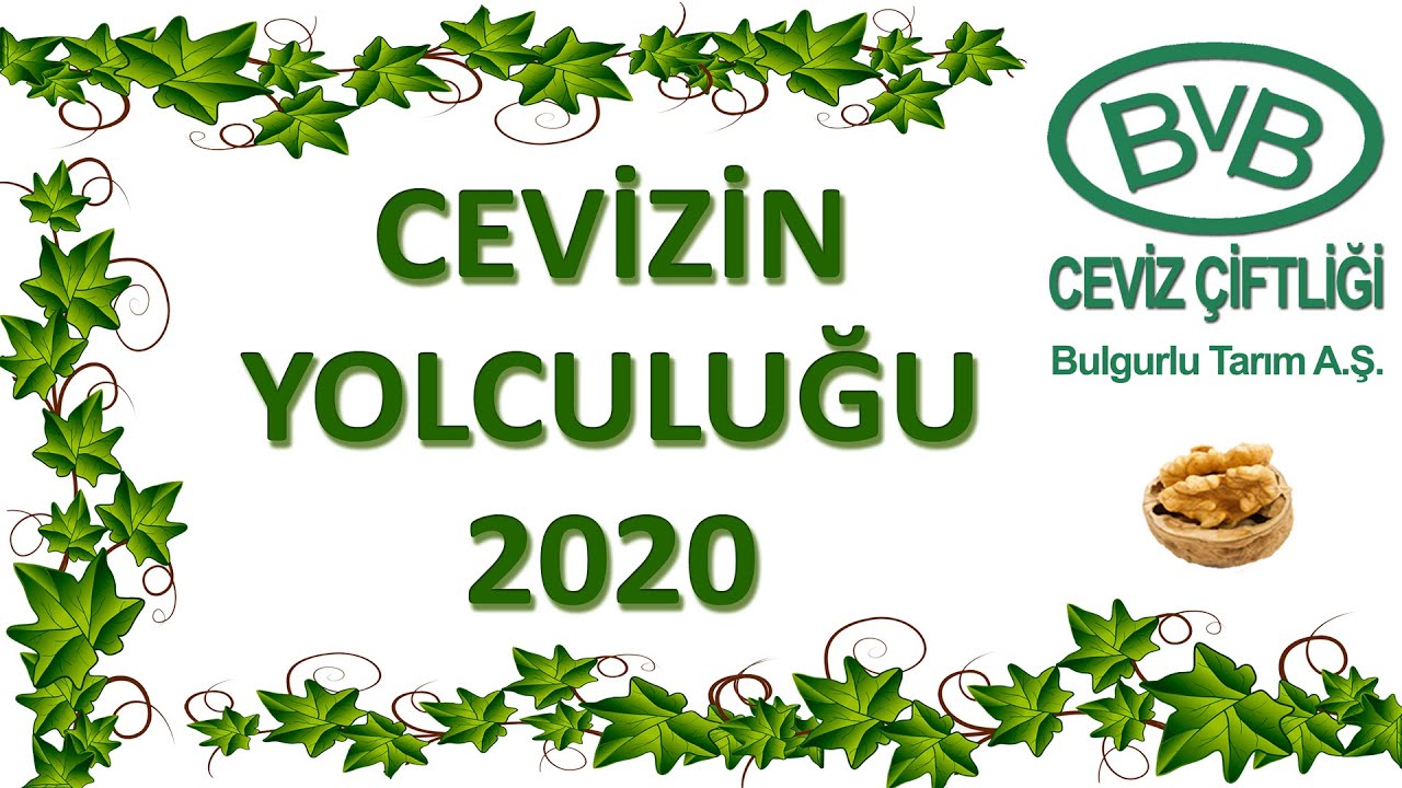 Cevizin Yolculugu 2020