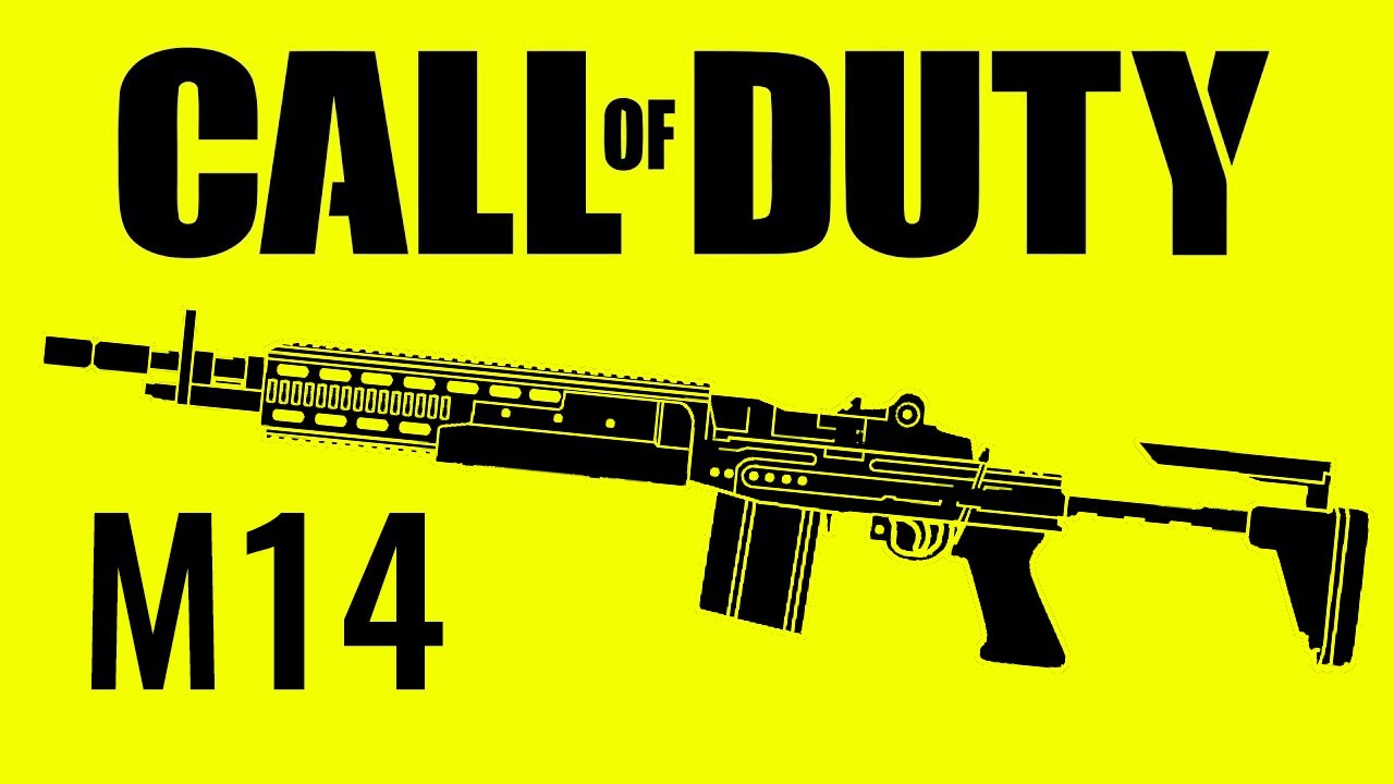M14 - Call of Duty EVOLUTION (2023)