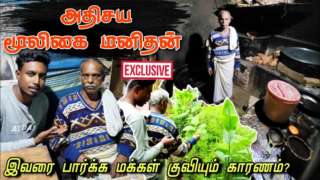 இந்தியாவை கலக்கும் மூலிகை வைத்தியர் | Wayanad mooligai vaidyar interview | Edison vlogs Tamil