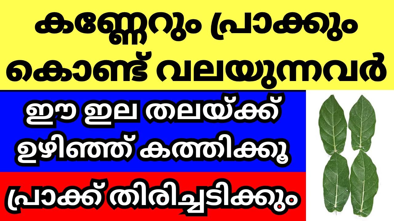 അയൽക്കാരുടെ പ്രാക്കും വിളിയും കൊണ്ട് പൊറുതി മുട്ടിയോ, എങ്കിൽ ഉടനെ ഇത് ചെയ്യൂ,പ്രാക്ക് തിരിച്ചടിക്കും