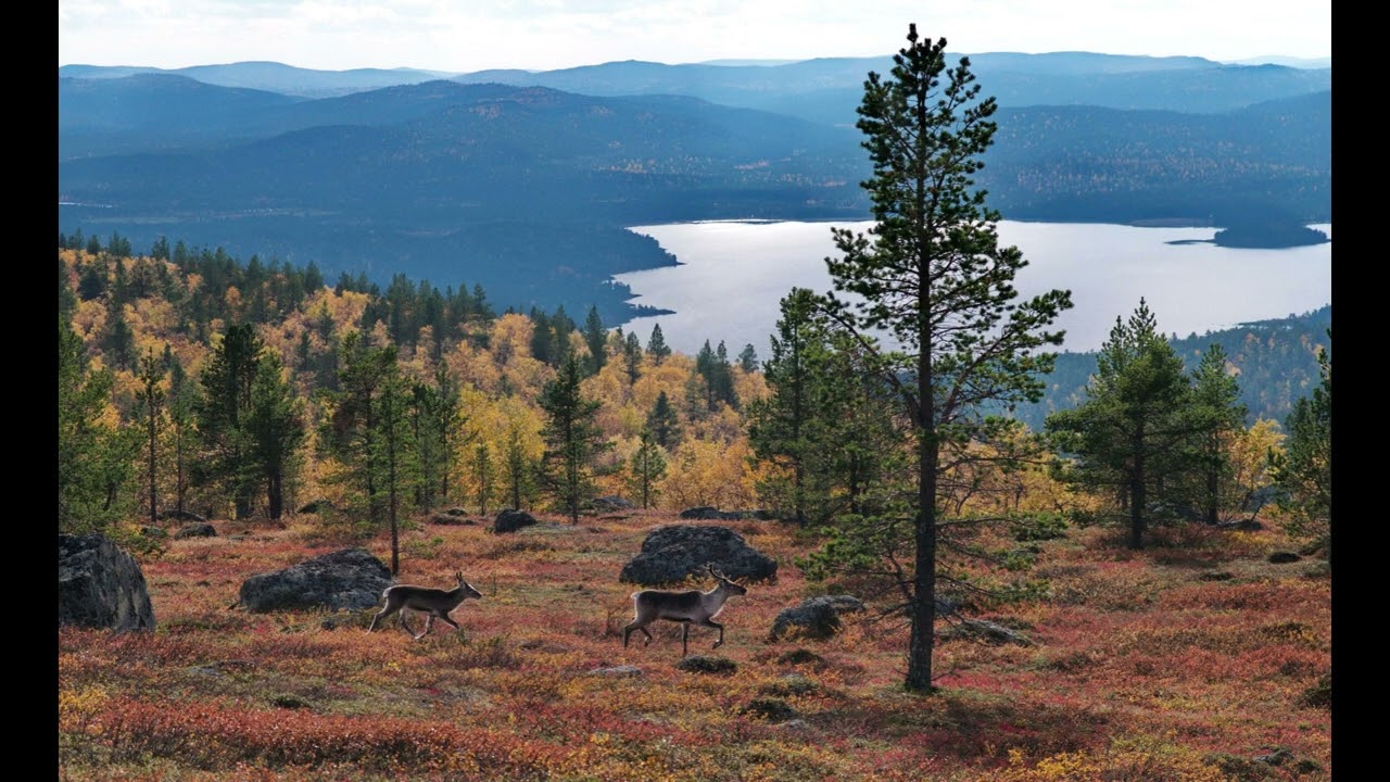 Lapin kesä