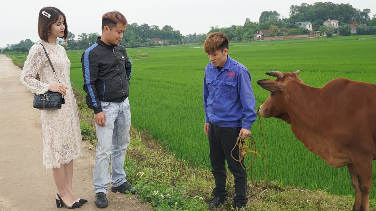 Chủ Tịch Đi Chăn Bò Bị Người Yêu Bỏ Sỉ Nhục Và Cái Kết | Đừng Bao Giờ Coi Thường Người Khác