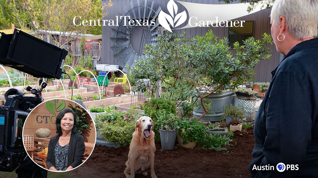 Hands-on Garden Design