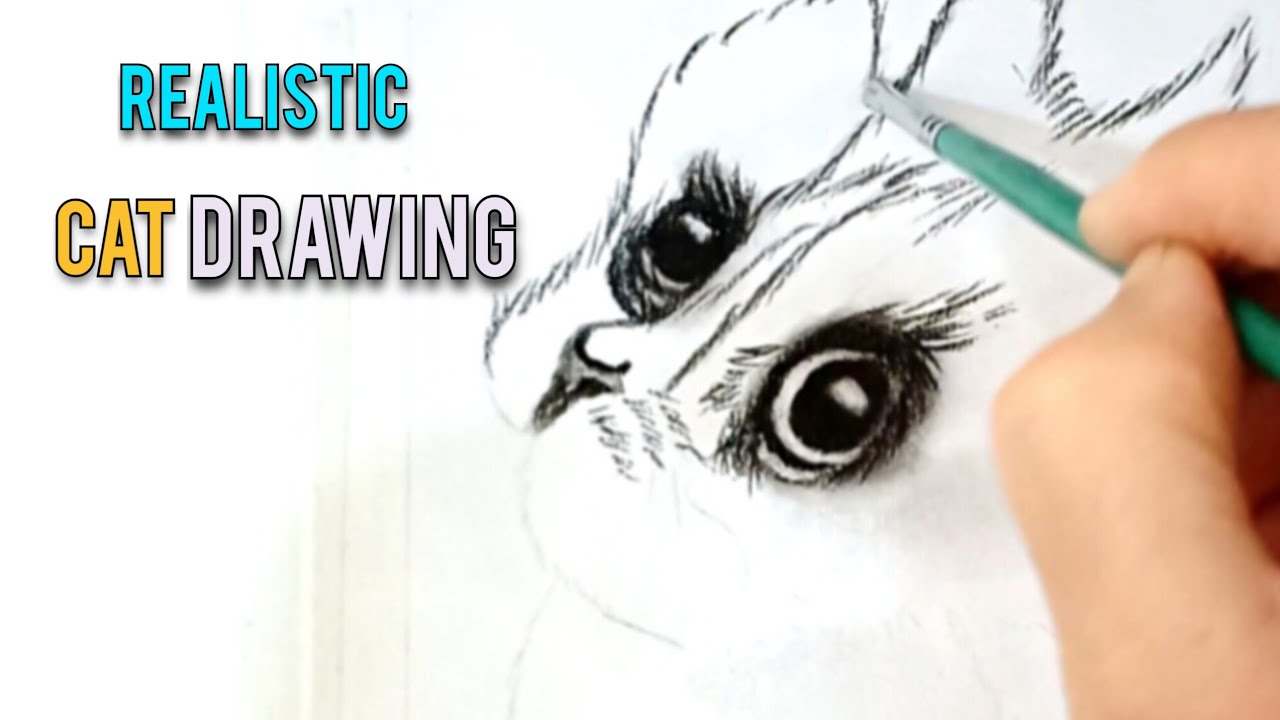I Drew a Realistic Cat with One Pencil✏️# realistic 
