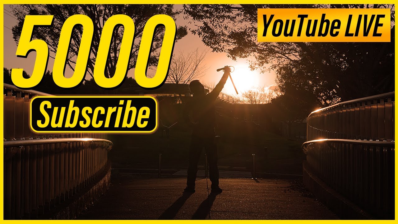 ありがとう！YouTubeチャンネル登録5000人達成LIVE！