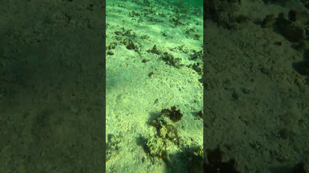 Маврикий. Пляж Ле Морн Le Morne.