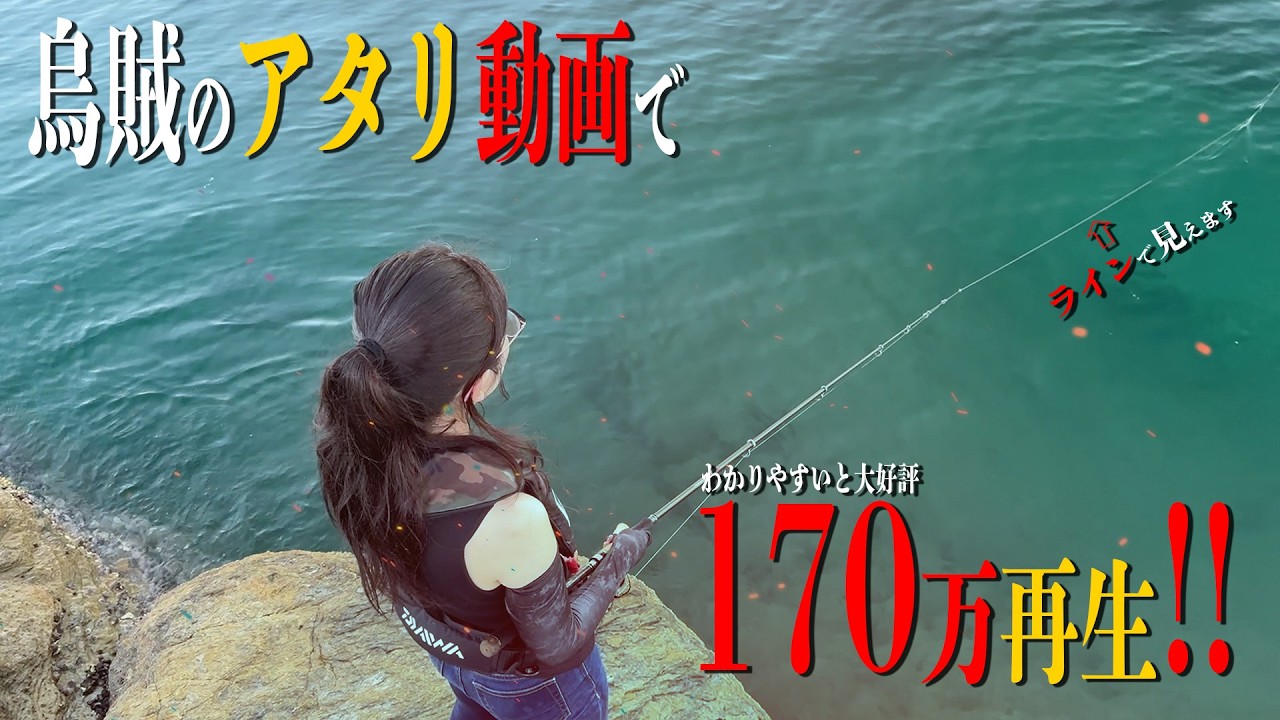 【エギング】いろんな烏賊のラインアタリがわかります。2024 12月 エギング アオリイカ