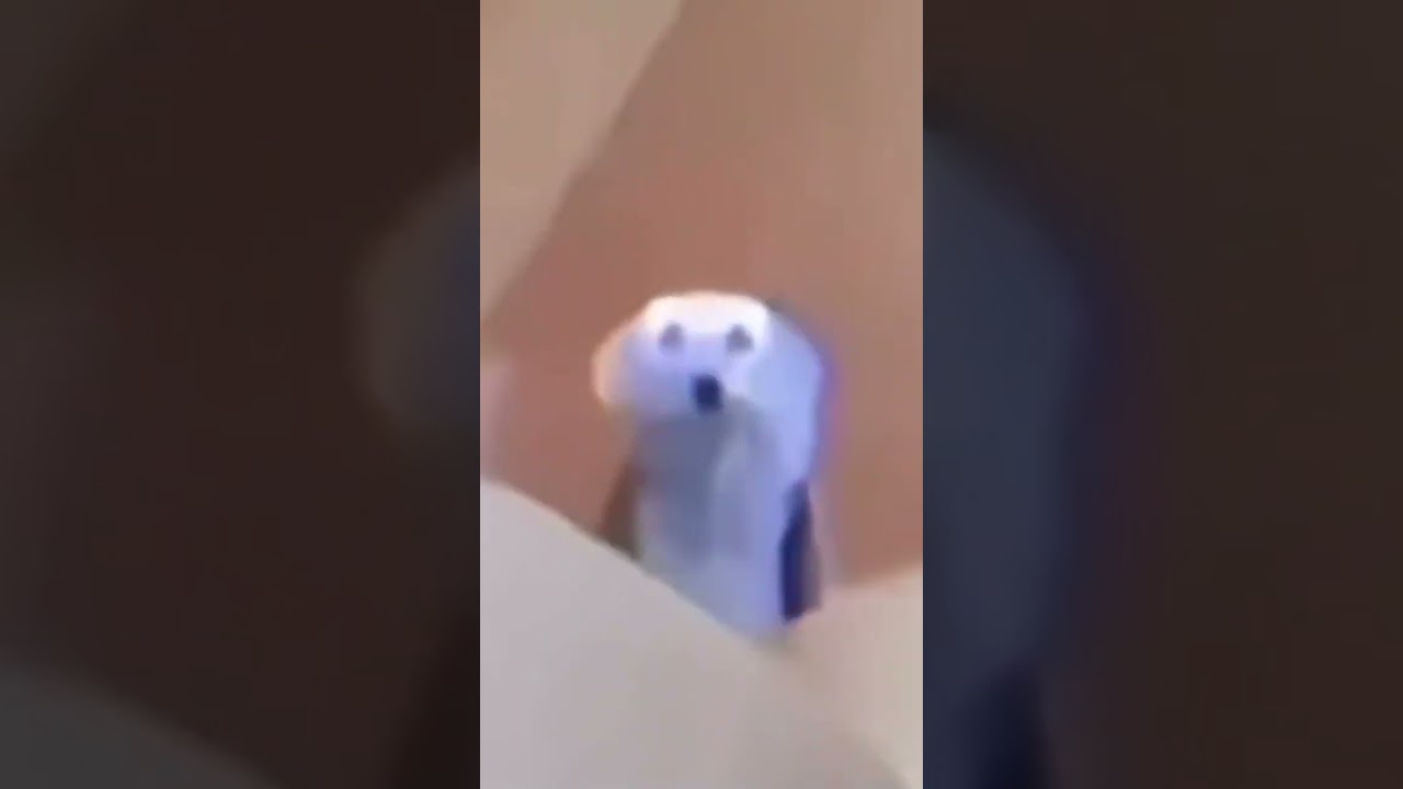 screaming Blue thing marshmallow
