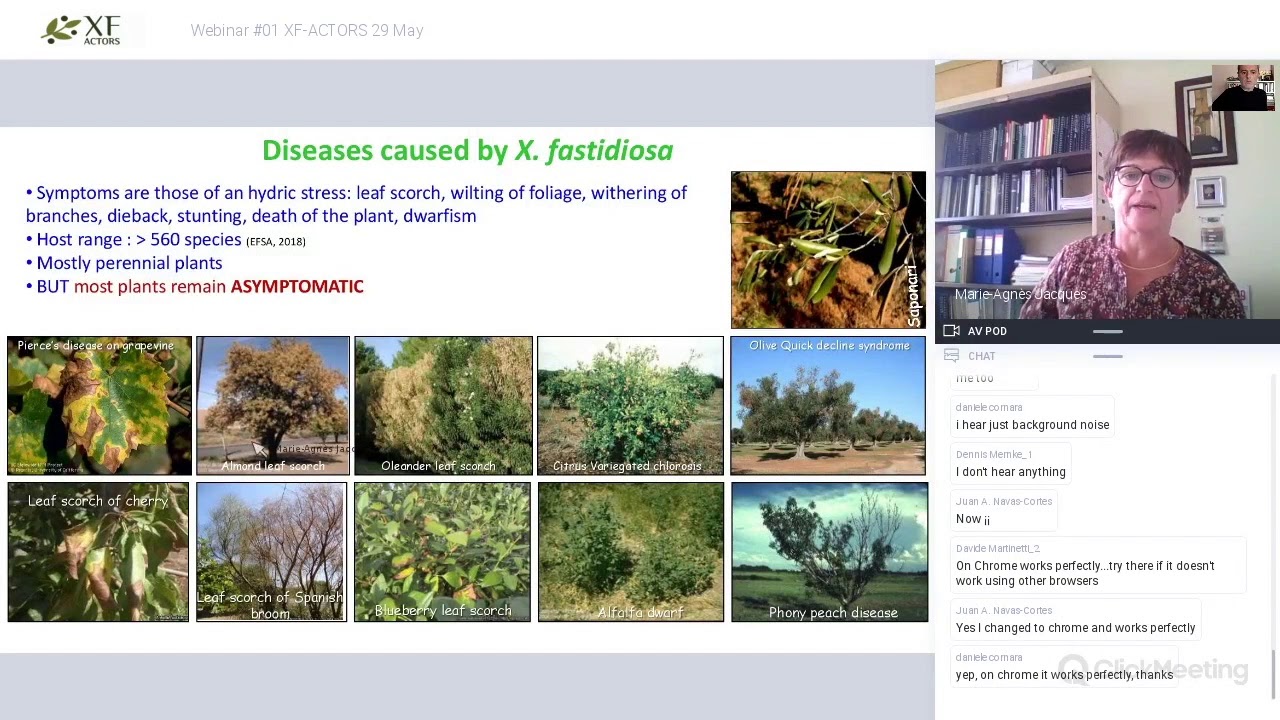 Xylella fastidiosa: insights into an emerging plant pathogen | Webinar