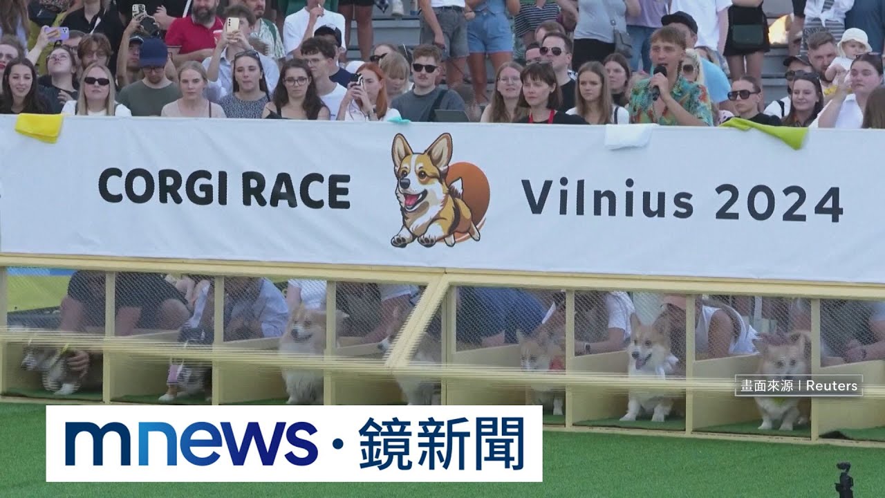 立陶宛百隻柯基齊跑！　萌翻現場6千名觀眾｜#鏡新聞