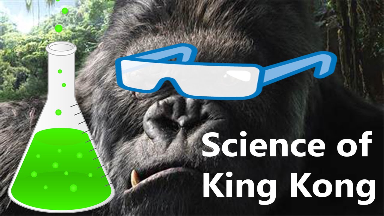 Science of King Kong