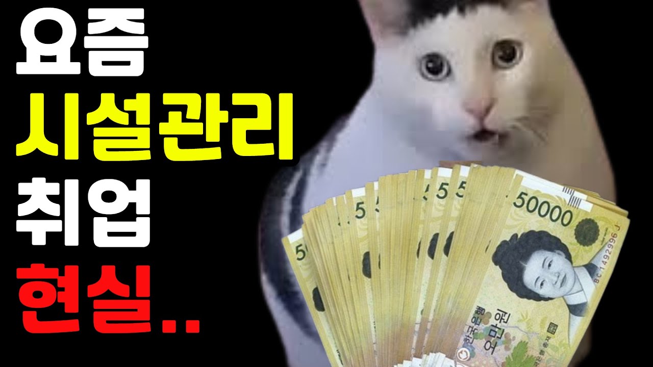 이젠 시설관리도 취업 안 됩니다. 올해 취업 진짜 어렵습니다. 요즘 취업 현실 (전기기사, 시설관리, 시설워크, 관리소장)