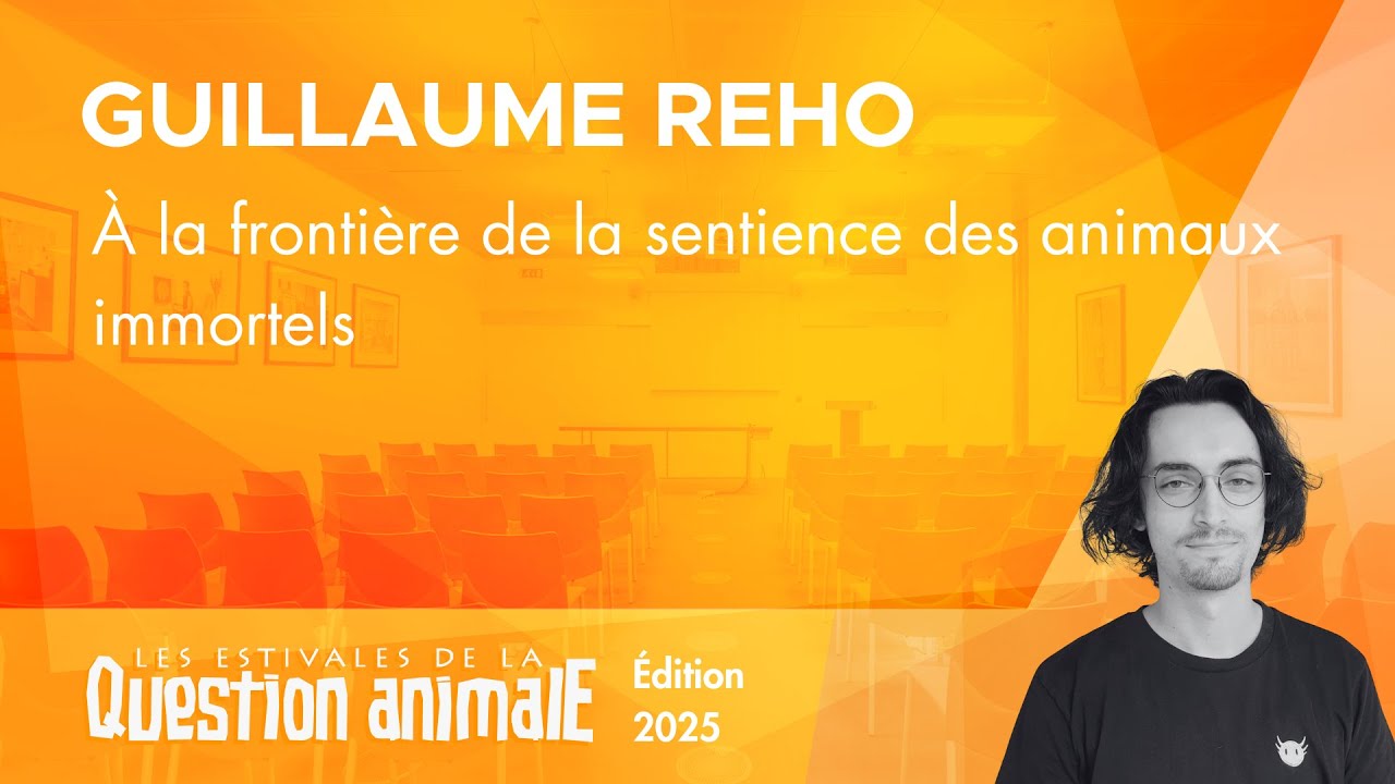 À la frontière de la sentience des animaux immortels - Guillaume Reho
