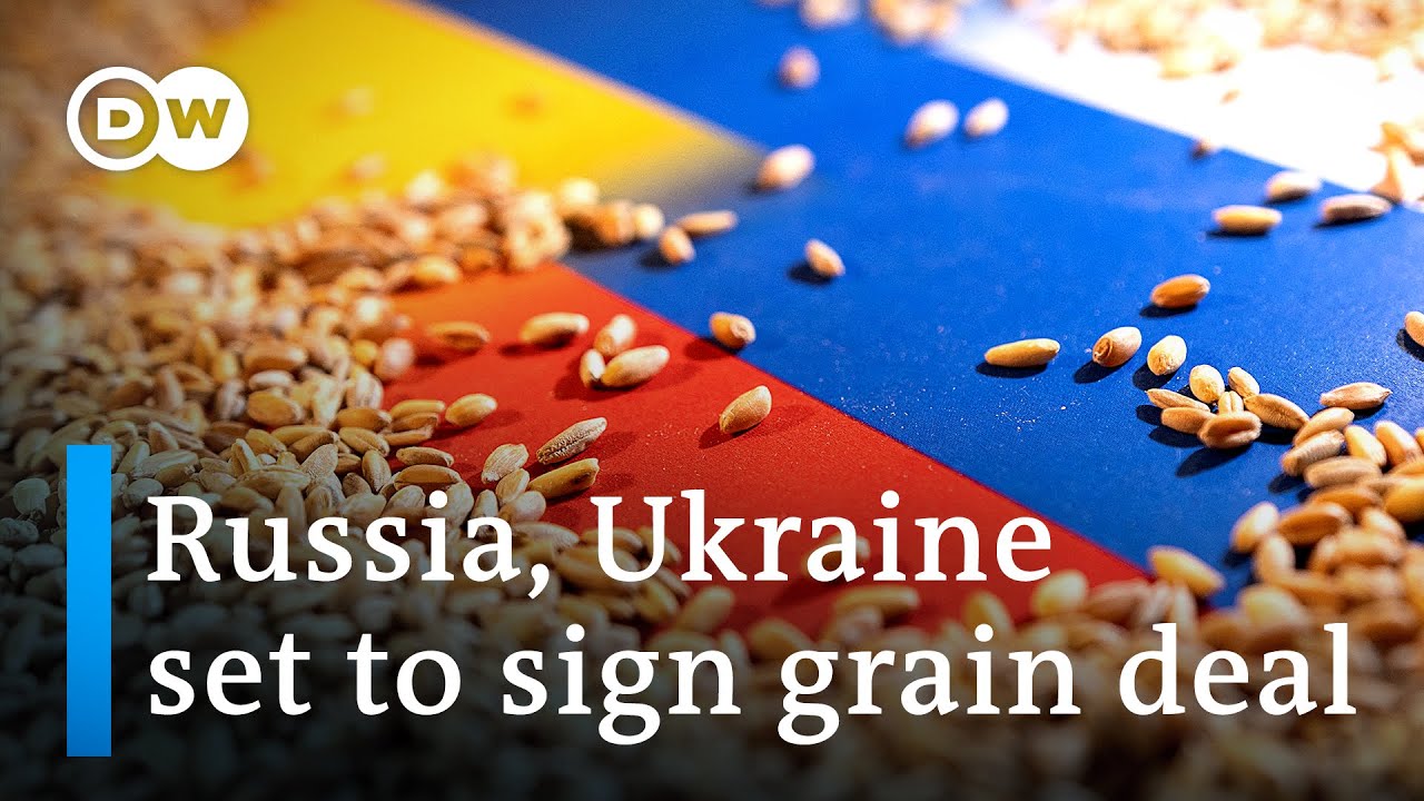 Grain export deal would ease global food crisis - What does the deal look like? | DW News